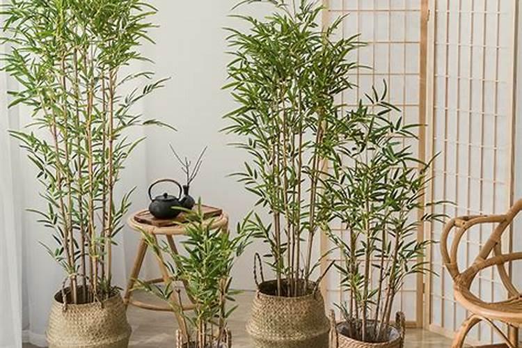 店面门口怎么布置吸引客户