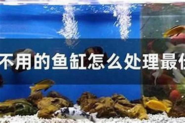 北京看风水的秦阳明大师有了解的吗？听说很准有人知道不