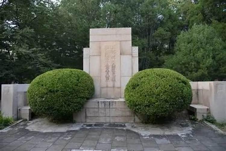 阴宅风水树木之说墓地附近种树的风水