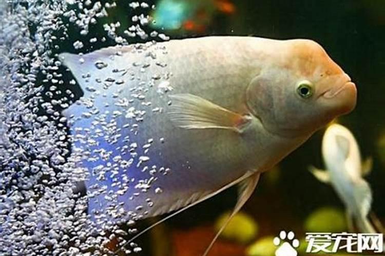 窗台下做柜子多高合适