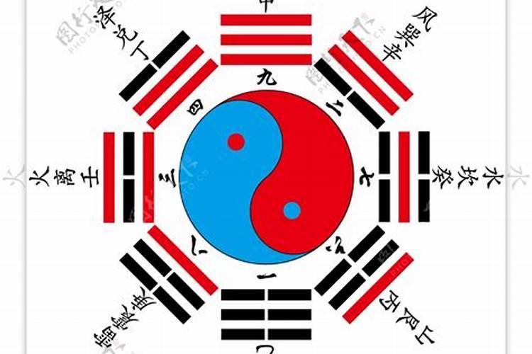 纳甲干啥用