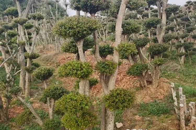 这些地方的风水布局会影响婚姻