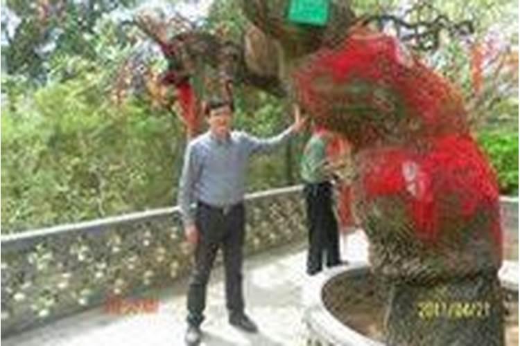 萧知建人物经历
