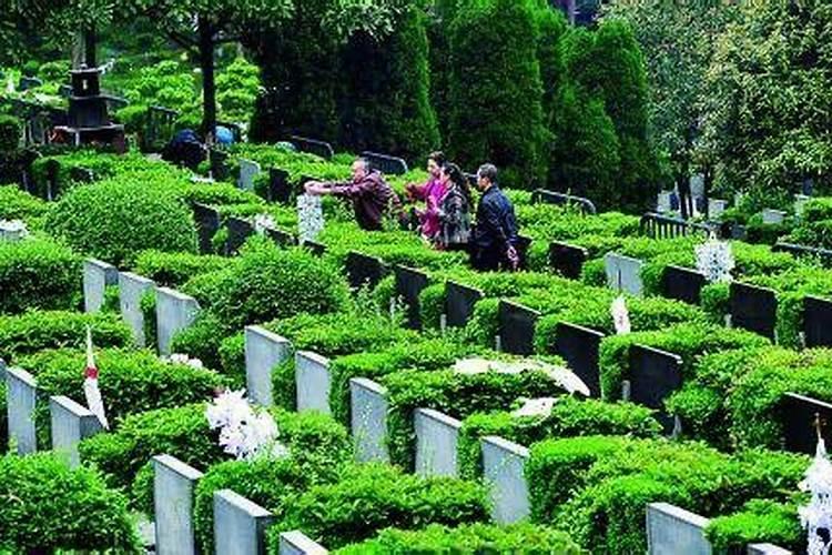 风水上理论“阳宅影响一家人,阴宅影响一族人”。请高人阐述一下百度...
