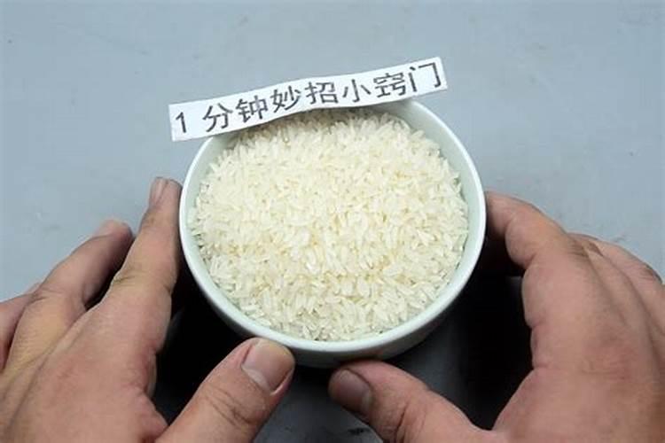 大米放8个硬币旺财,