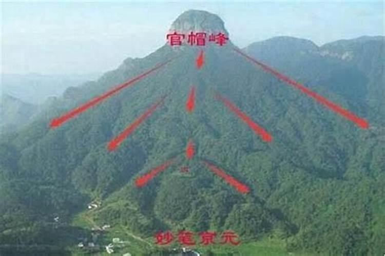 做生意养哪五种动物好