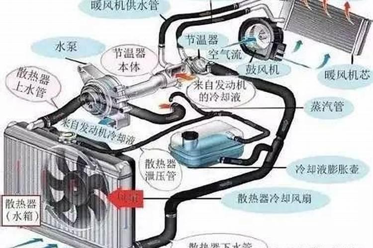 什么时候的淡竹最好