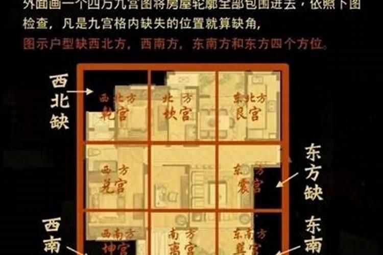 松树适合放办公室吗