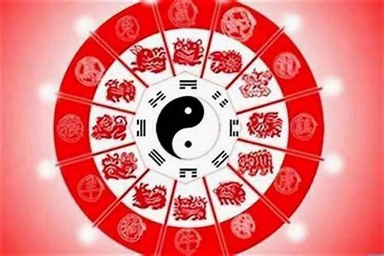 榕树栽在阳台会影响生意的原因