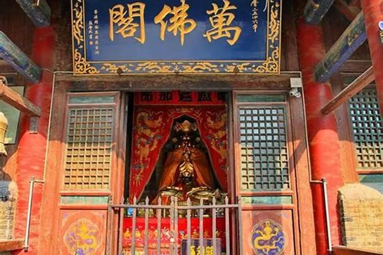 广东易经大师是谁