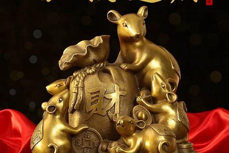 金钱鼠的风水寓意是什么