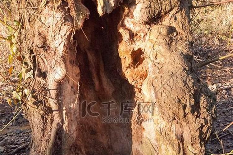 家里对孩子不利的风水 子孙位不足 家居杂乱