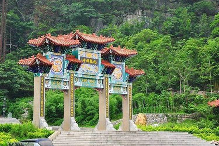 张岱之后再无茶摘自《茶叶秘密》