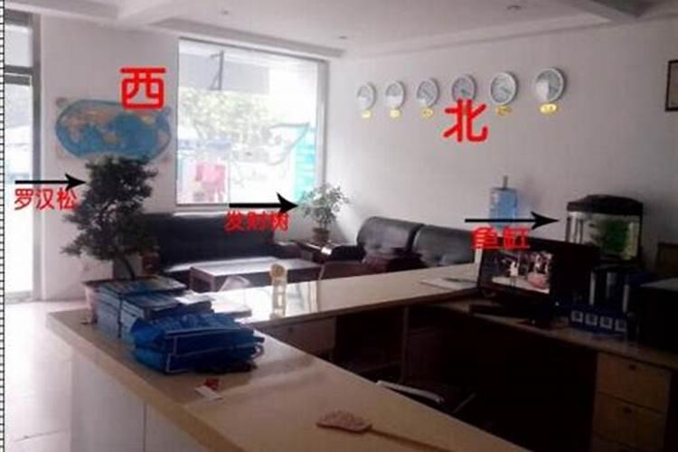 办公室摆放鱼缸的风水作用