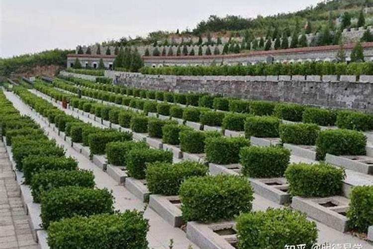 看坟地风水大师教你怎么看墓地