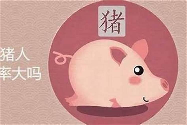 95年属猪可以住十楼嘛 95年属猪人适合住几楼