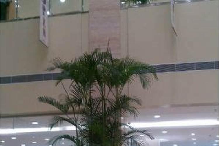 上海枫泾公墓墓区规模