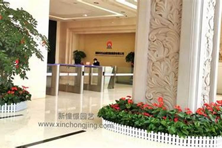 办公室摆放什么类花木有利与风水？需要注意哪些问题？