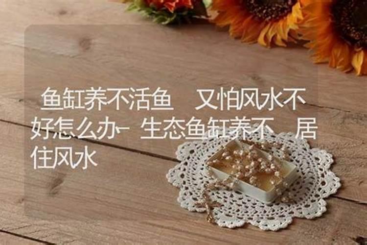 阳宅风水学入门口诀