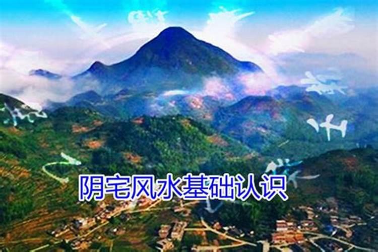 进门就能见到招财鱼 对住宅风水好吗