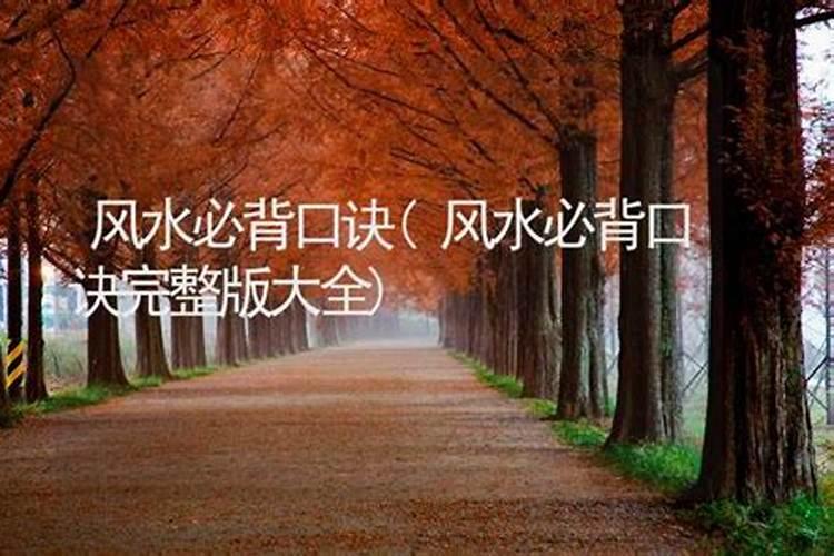 风水先生看墓地罗盘怎么放？