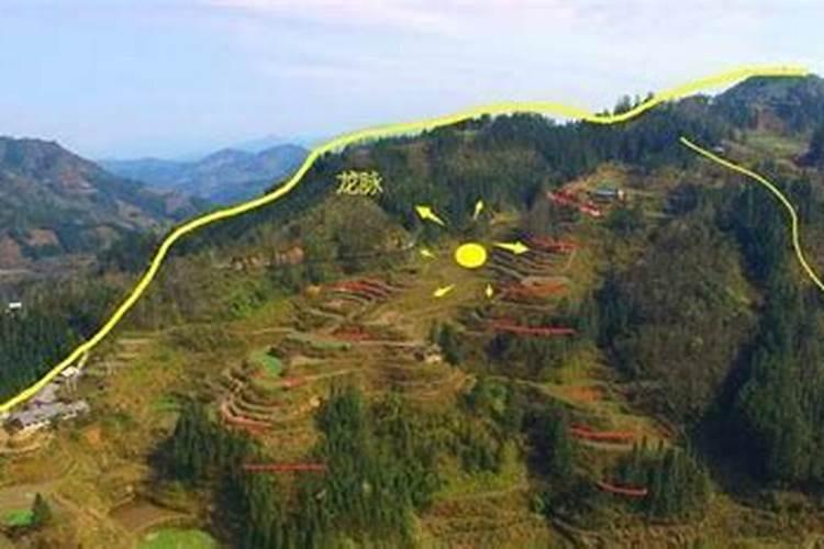 杨公风水的传人是黄金发老师吗？