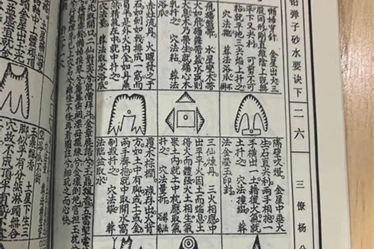 什么是龙砂、虎砂？