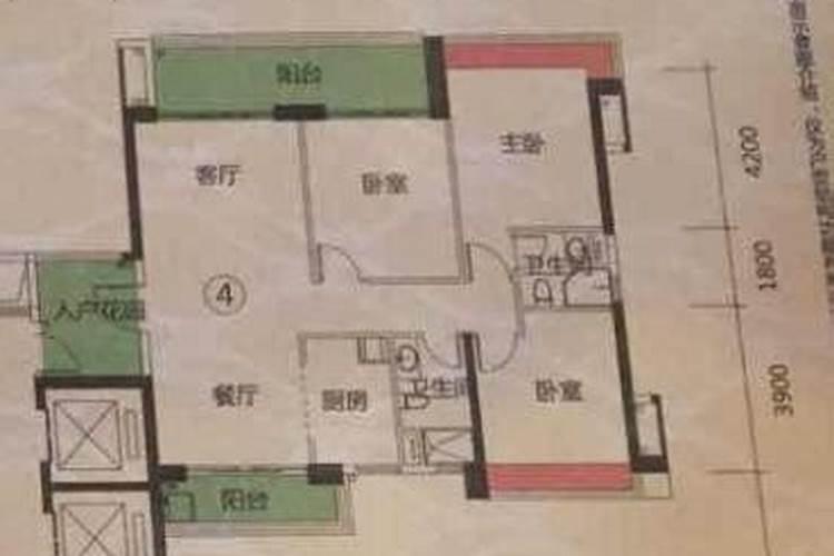 拱什么意思