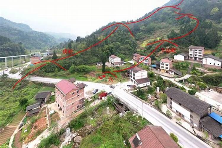 请问见蛇死在家门口是现实的是什么意思？请风水师解释