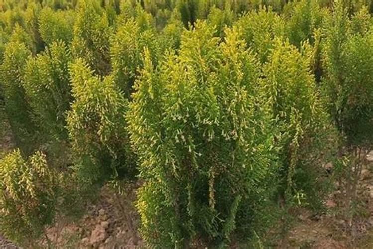 怎样找家中风水的财位