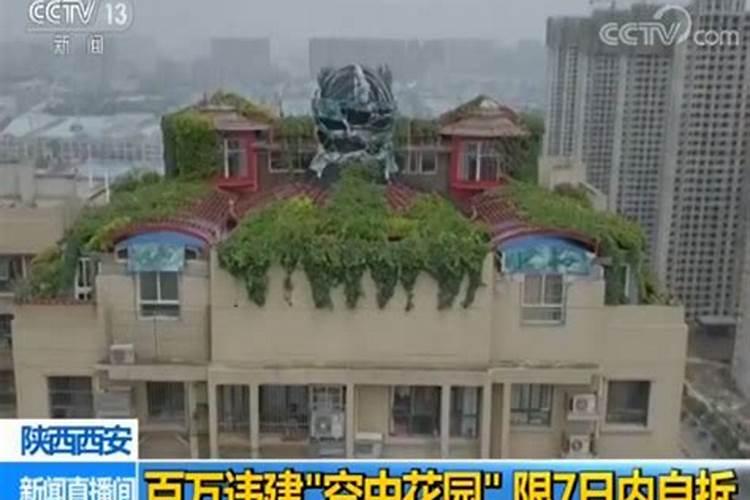 阳台放什么植物好风水 植物风水