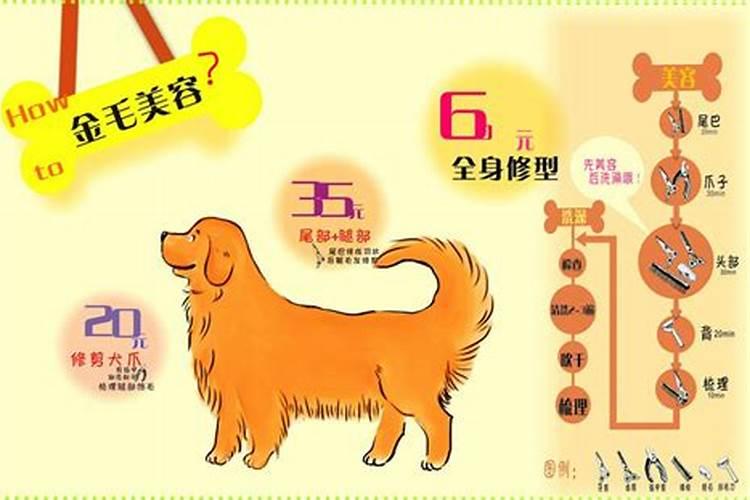 鸟在阳台的什么位置做窝好？