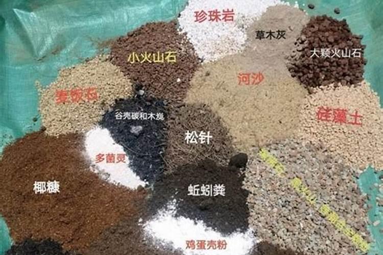 师傅看上徒弟,这种师傅的人品怎样