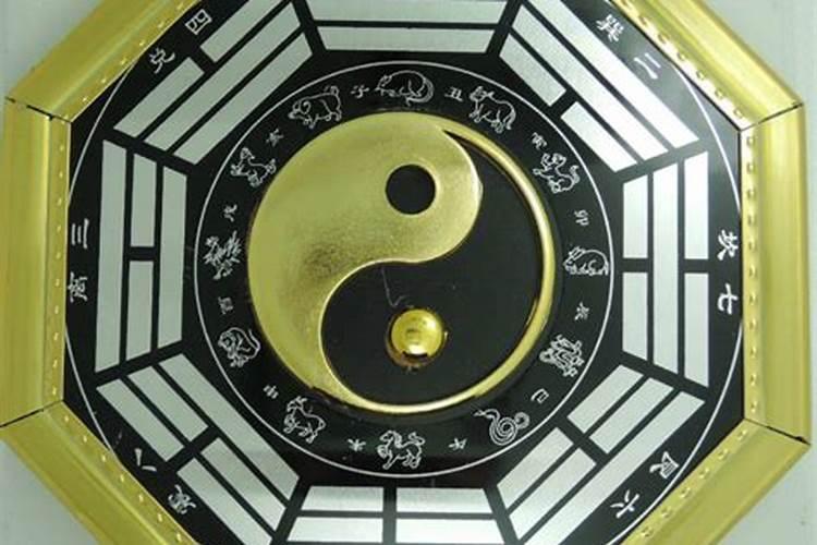 家里放什么辟邪最旺运
