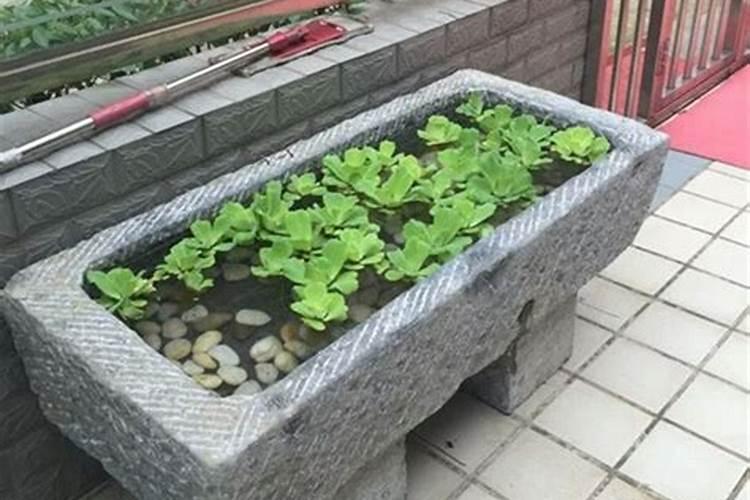 家里牛石槽和猪石槽放到一块怎样放会旺财