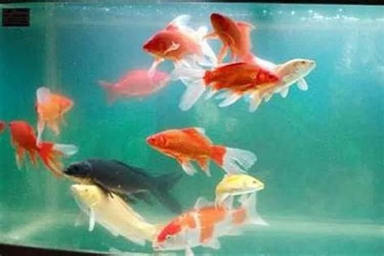 ...到家里看一下有讲究吗？请风水先生看房子为什么都有问题？请风水师看...