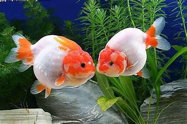 怎样看风水