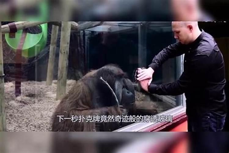 办公室门前有山是好风水吗