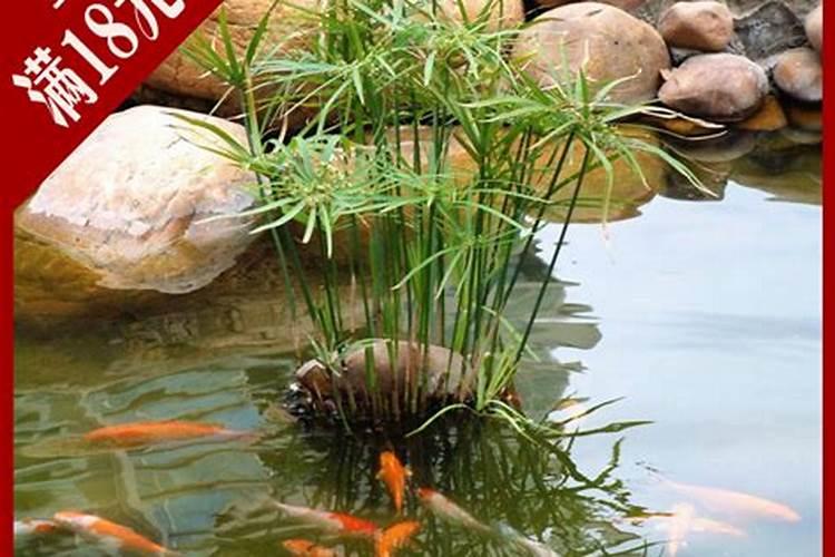 屋里哪个方位有水池好
