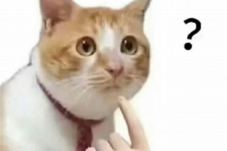 男人的格局是什么？