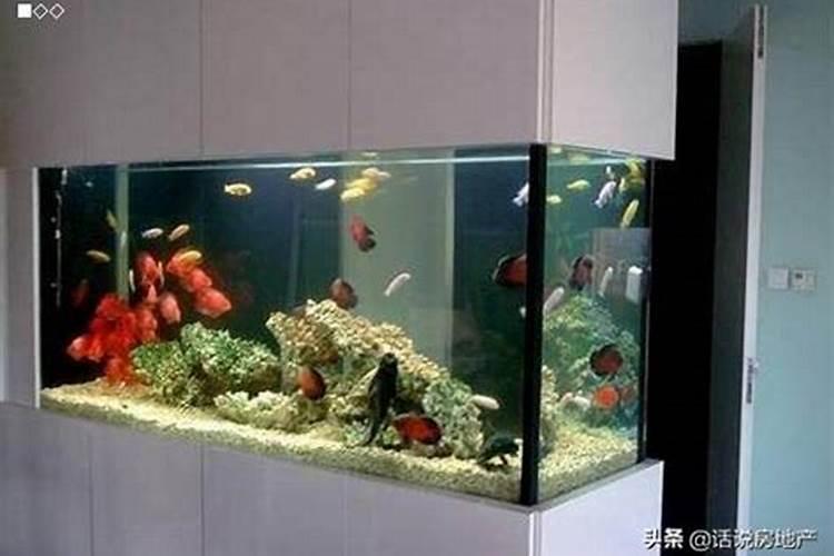 养鱼有什么风水说法