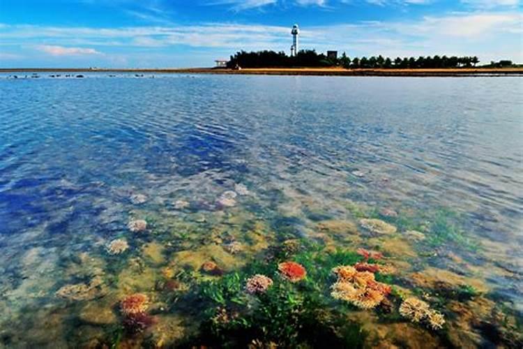 家庭办公风水