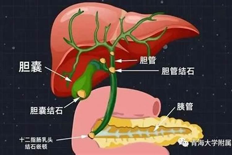 触目惊心!警惕让人得癌症的卫浴风水凶相