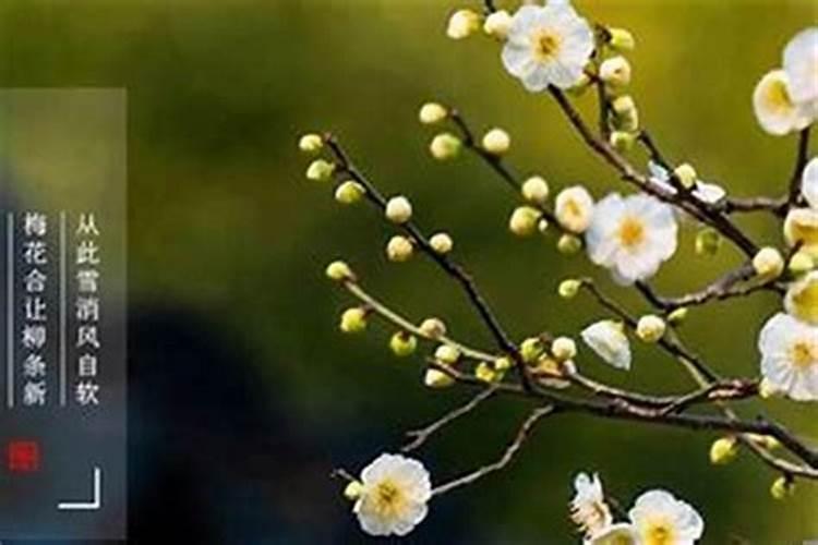 桃花运与居家风水有关系