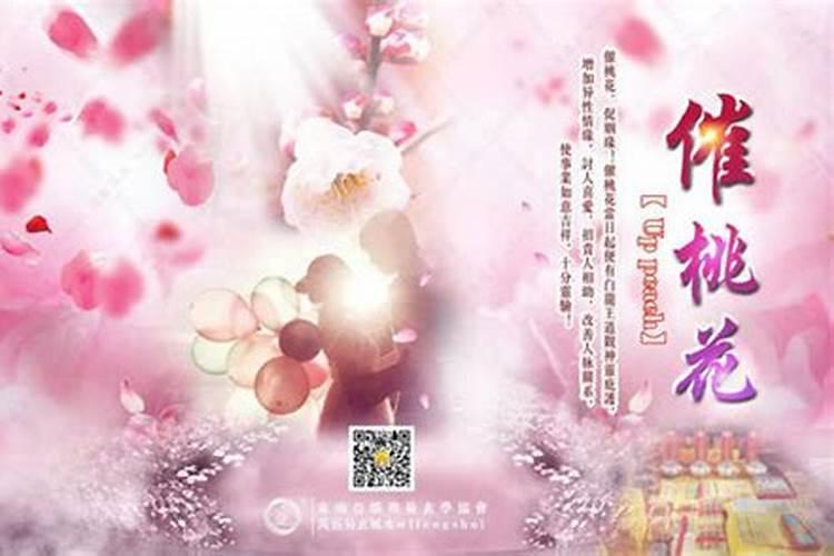风水大师无量子讲座:衣柜摆招桃花