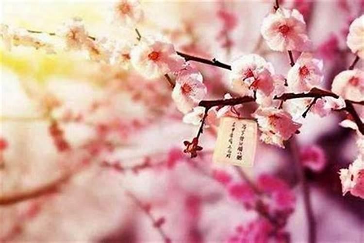 六招家居风水秘籍让你秋天桃花朵朵开
