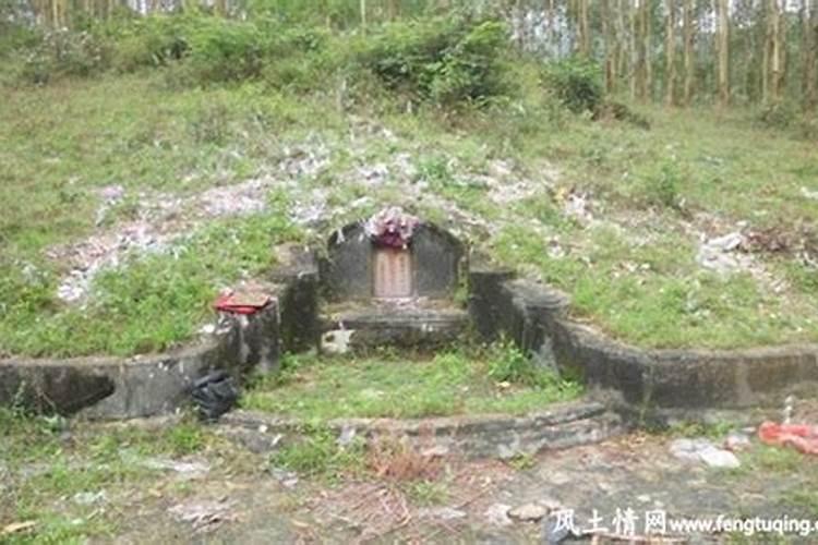 坟头有蜘蛛是什么预兆？