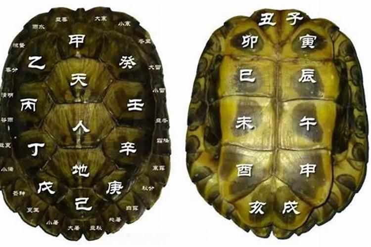 墓地朝哪个方向好 墓地的朝向哪个好