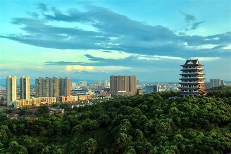 组织,参加封建迷信活动 违反了什么纪律