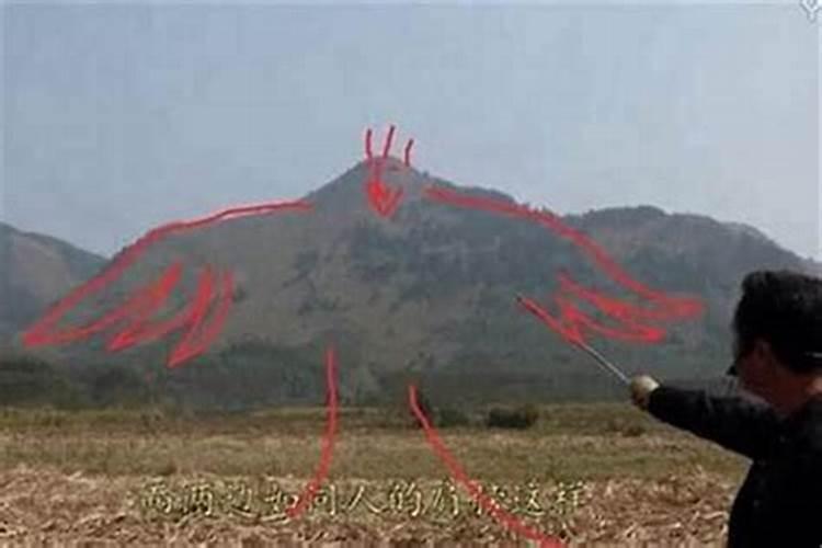 不是吉日动土注意哪些